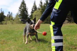 2018 Ausbildungswoche Arber